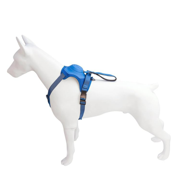 Arnés perro con correa retráctil azul-L - Imagen 6
