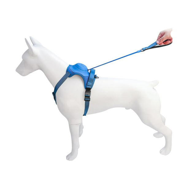 Arnés perro con correa retráctil azul-L - Imagen 5