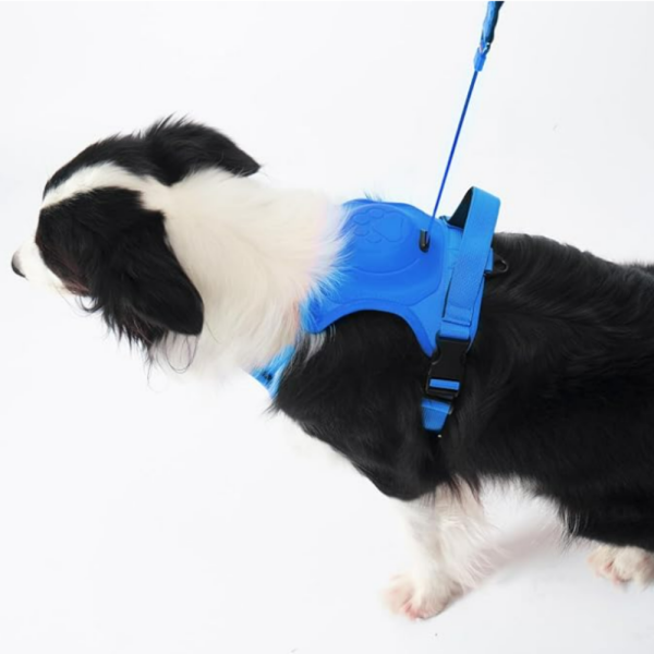 Arnés perro con correa retráctil azul-L - Imagen 4